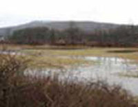 Phase I Environmental Site Assessment wetlands